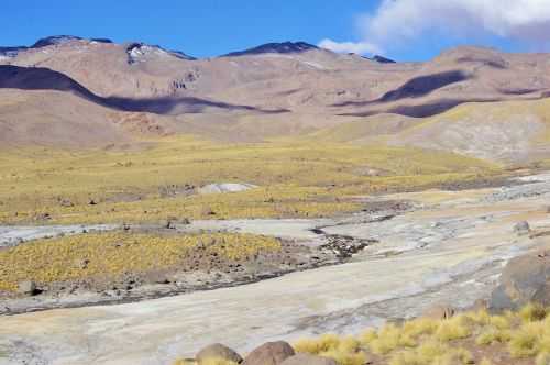 TREKKING NEL DESERTO DI ATACAMA 2015